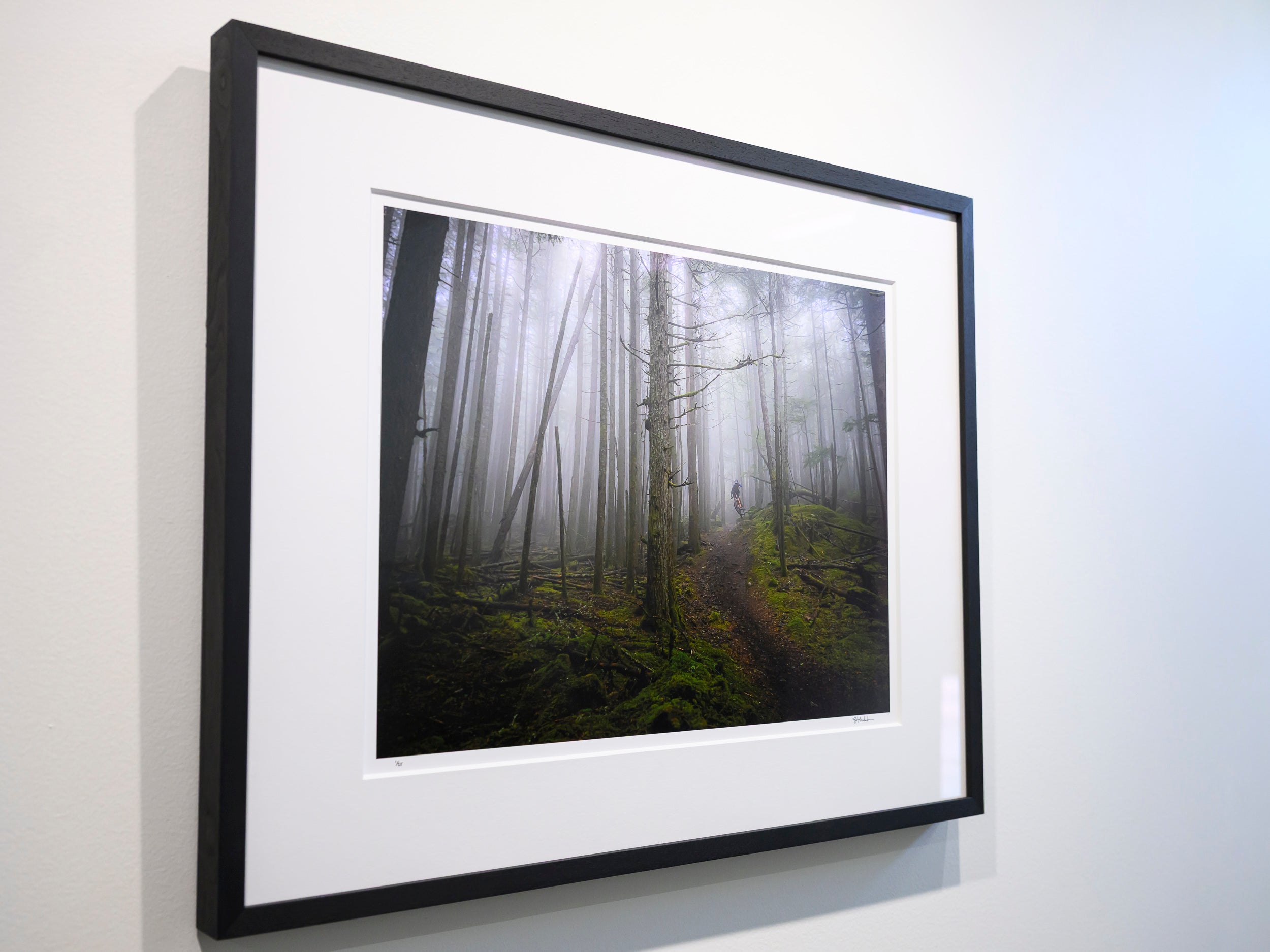 Misty Mount Constitution Side Hits: Limited Edition Framed Print