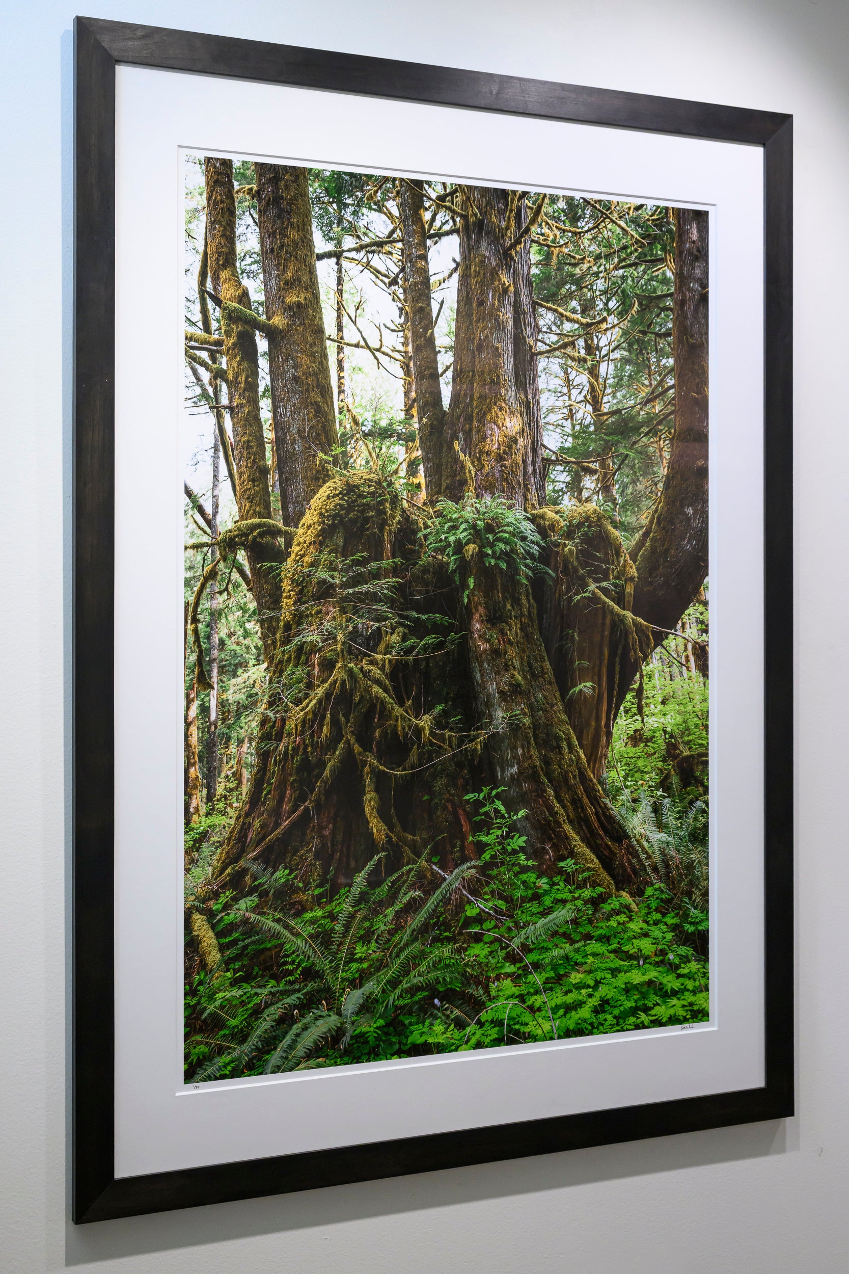Proliferation - Mine Creek: 32x48 Limited Edition Framed Print