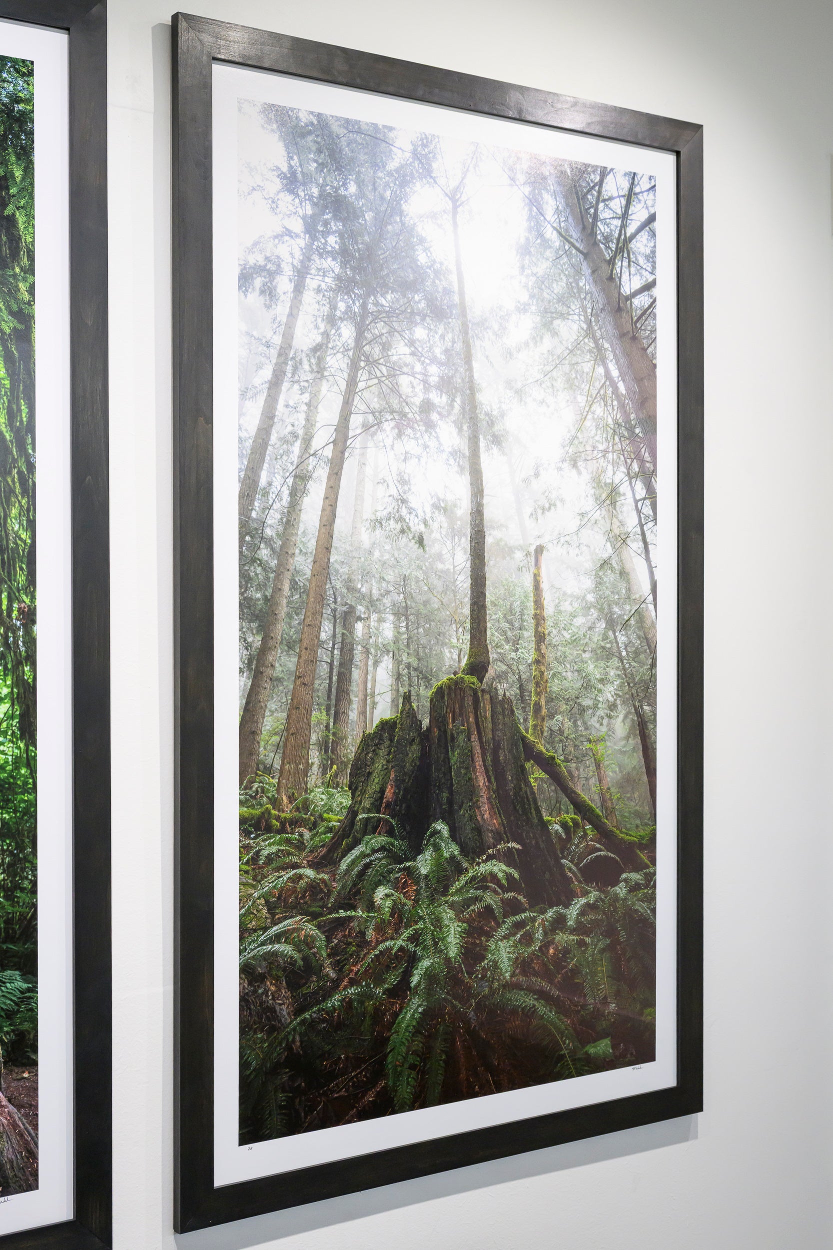 Reaching - Mount Si: 30x56 Limited Edition Framed Print