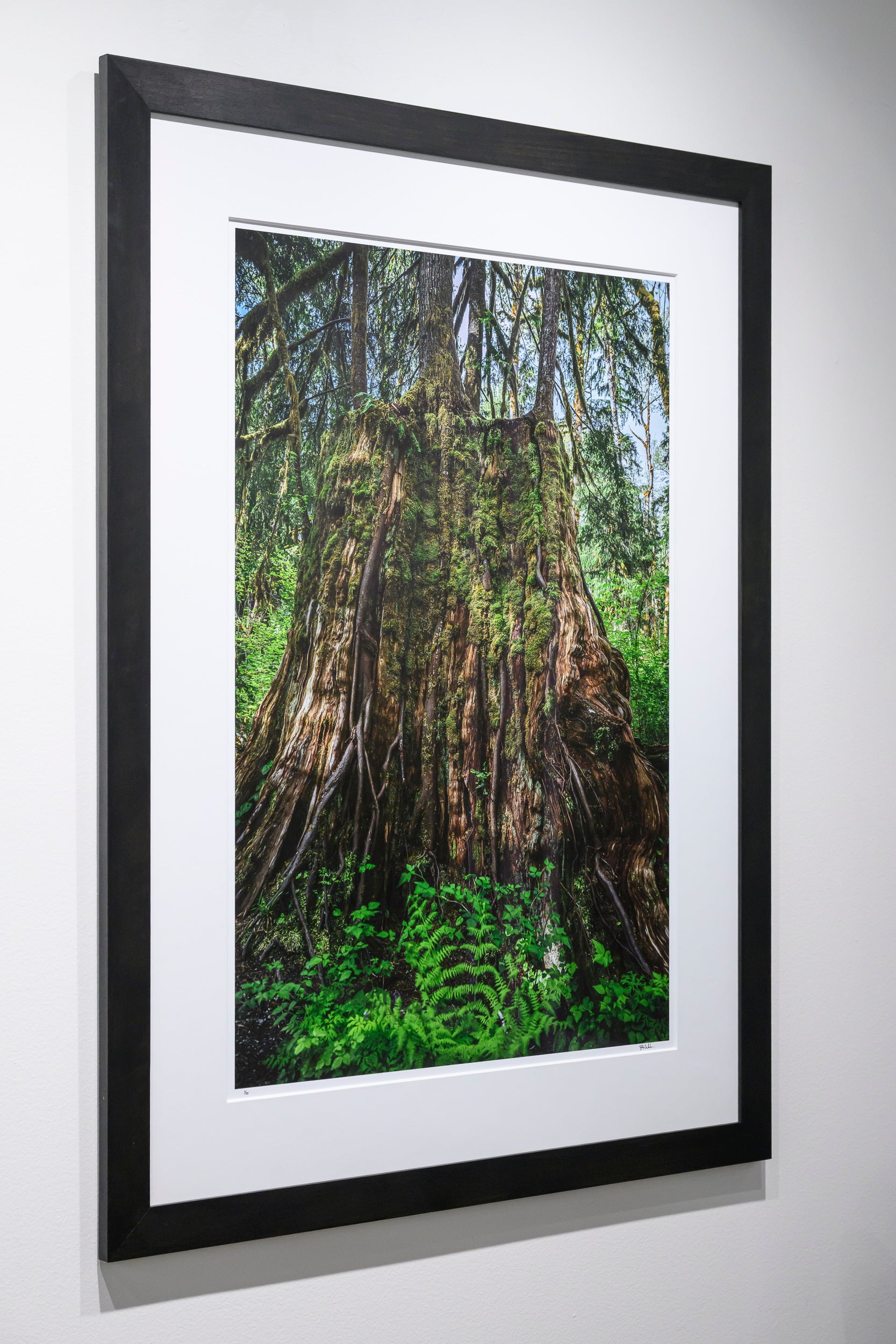 Synthesis - Oxbow Loop: 24x36 Limited Edition Framed Print