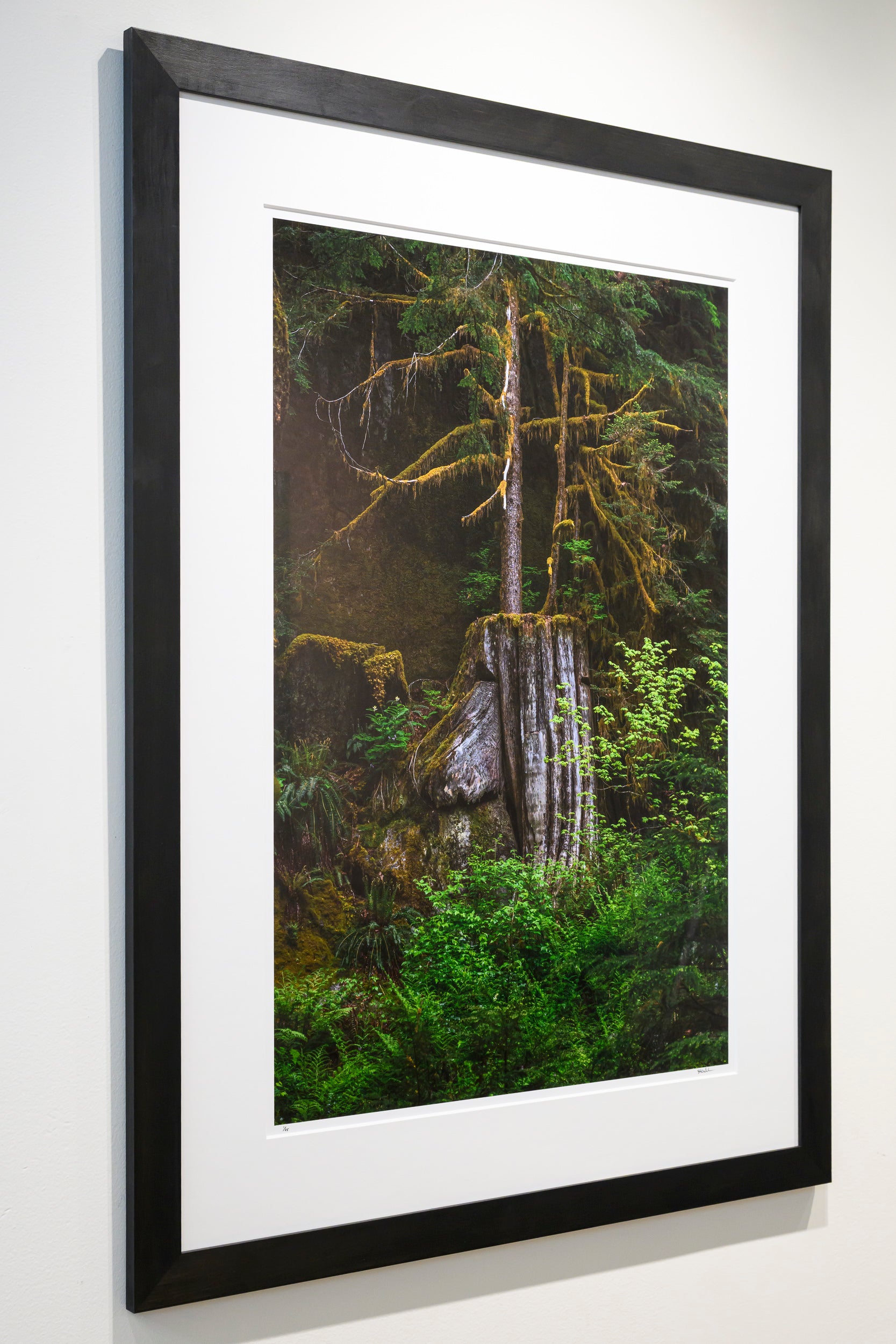 Verdant - Dingford Creek: 24x36 Limited Edition Framed Print