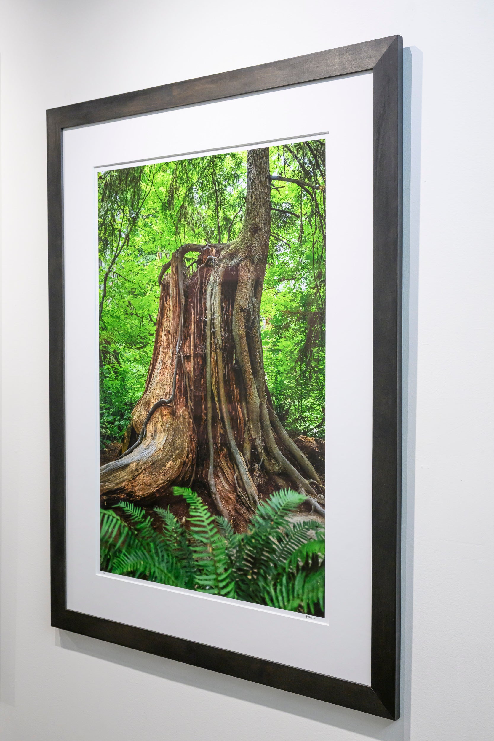 Continuation - Snoqualmie Falls: 24x36 Limited Edition Framed Print