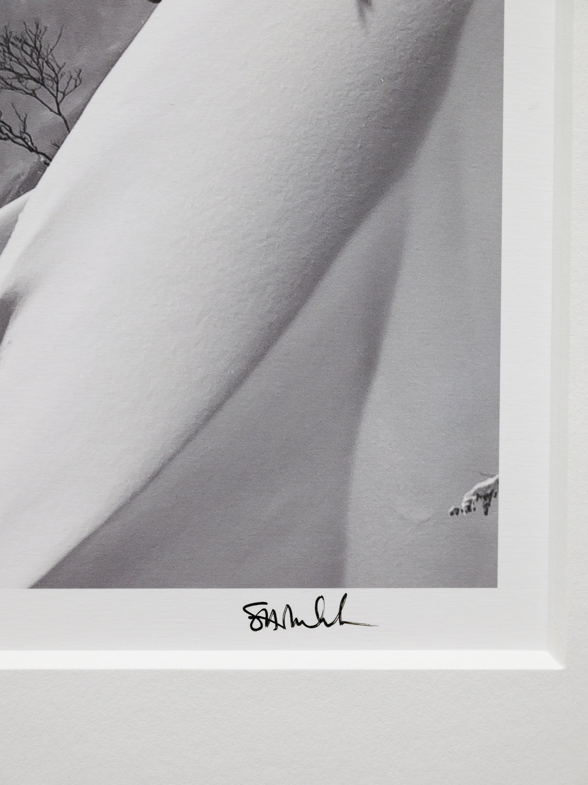 Deep Powder on Goryu Spine: Limited Edition Print