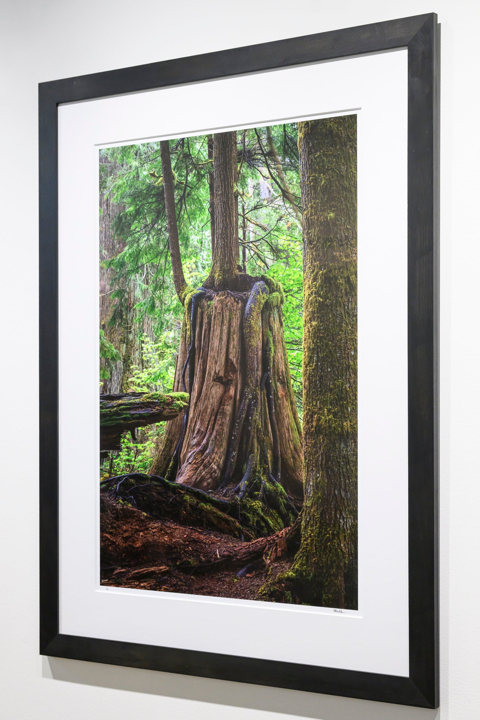Embrace - Weeks Falls: 24x36 Limited Edition Framed Print