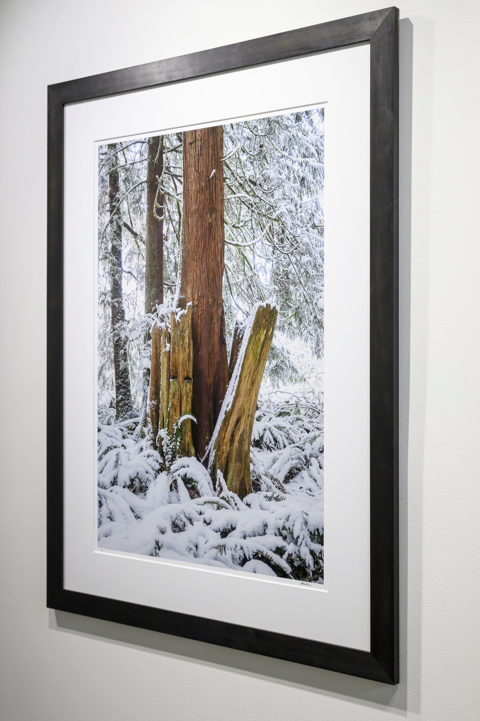 Emergence - Fall City: 24x36 Limited Edition Framed Print