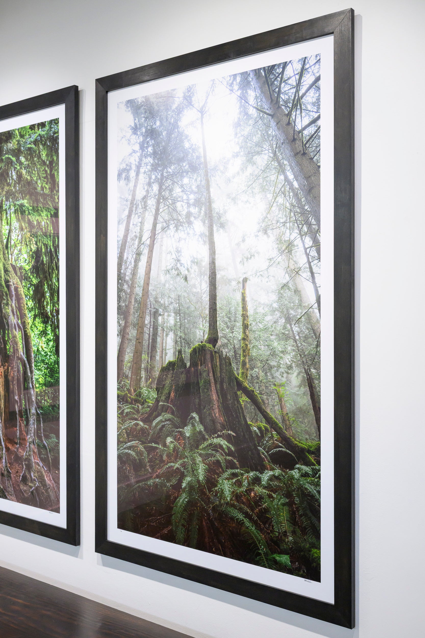 Reaching - Mount Si: 30x56 Limited Edition Framed Print