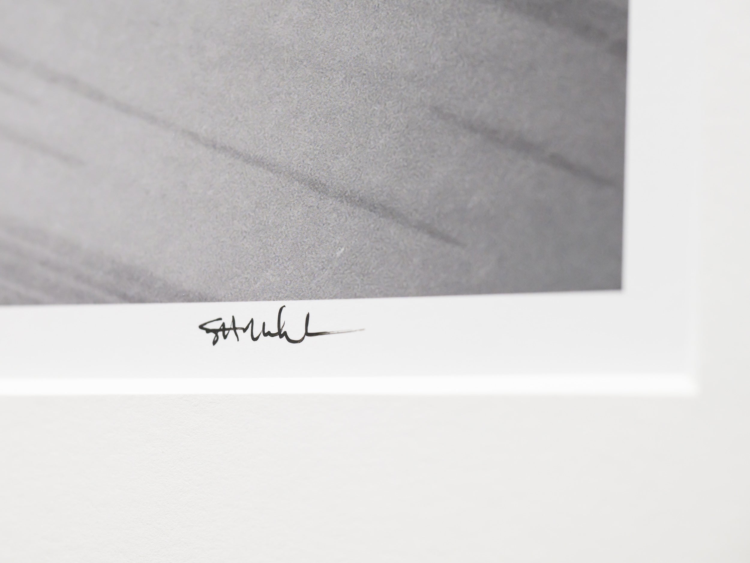 Sparse Trees on Nurikura: 32x48 Limited Edition Framed Print