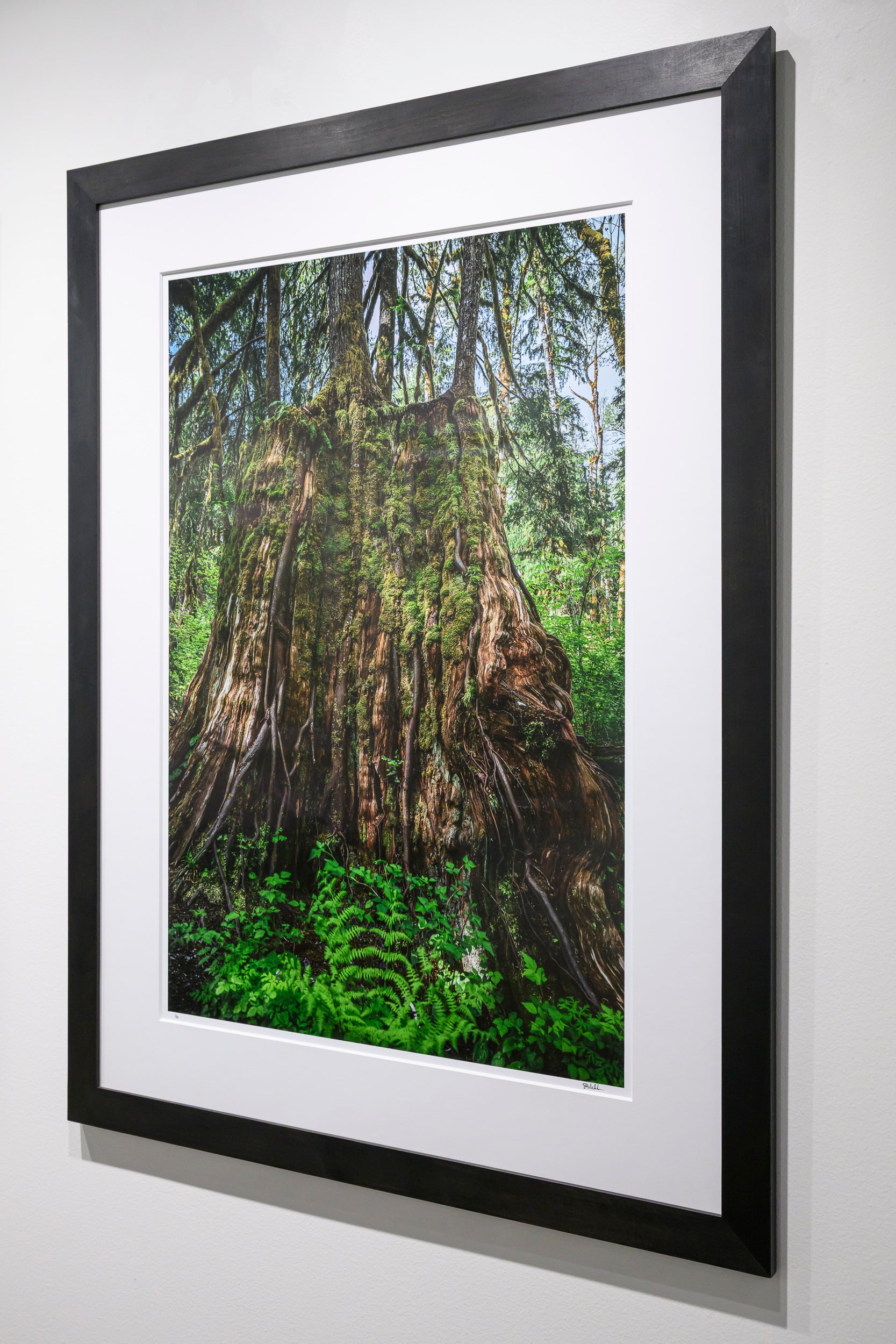 Synthesis - Oxbow Loop: 24x36 Limited Edition Framed Print