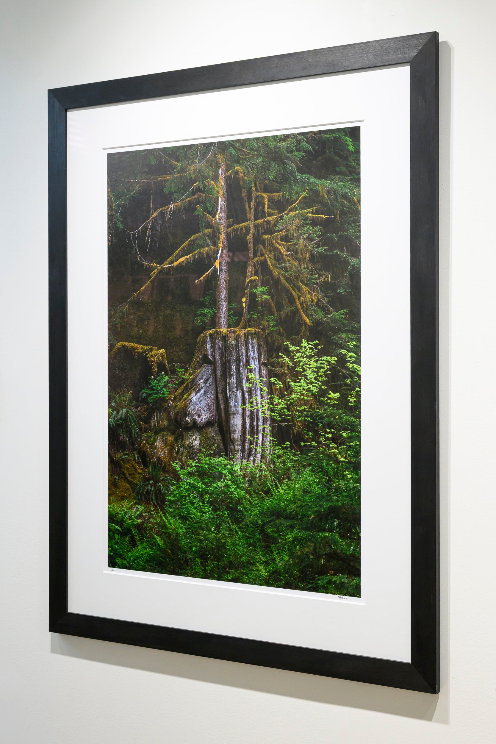Verdant - Dingford Creek: 24x36 Limited Edition Framed Print