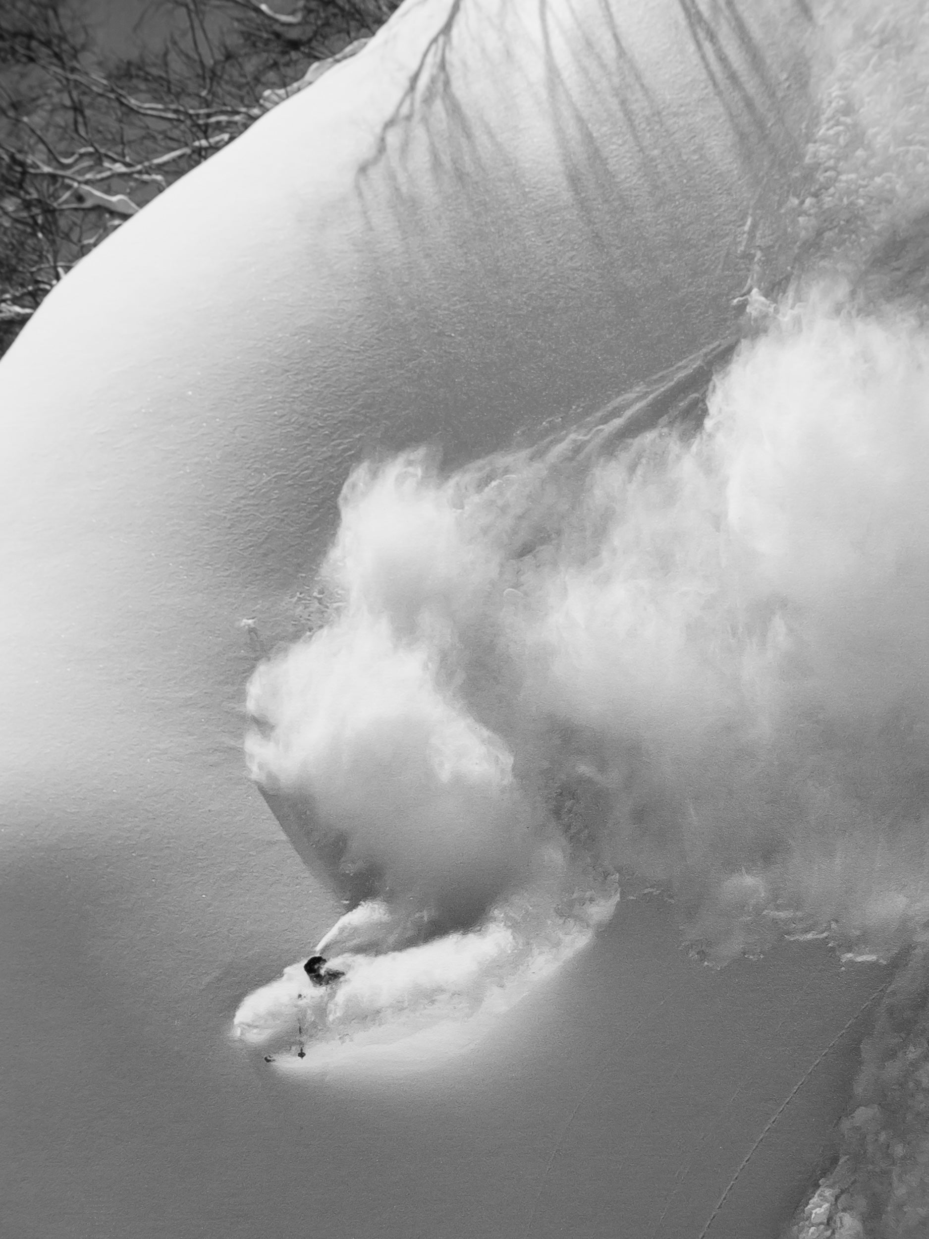 Deep Powder on Goryu Spine: Limited Edition Print