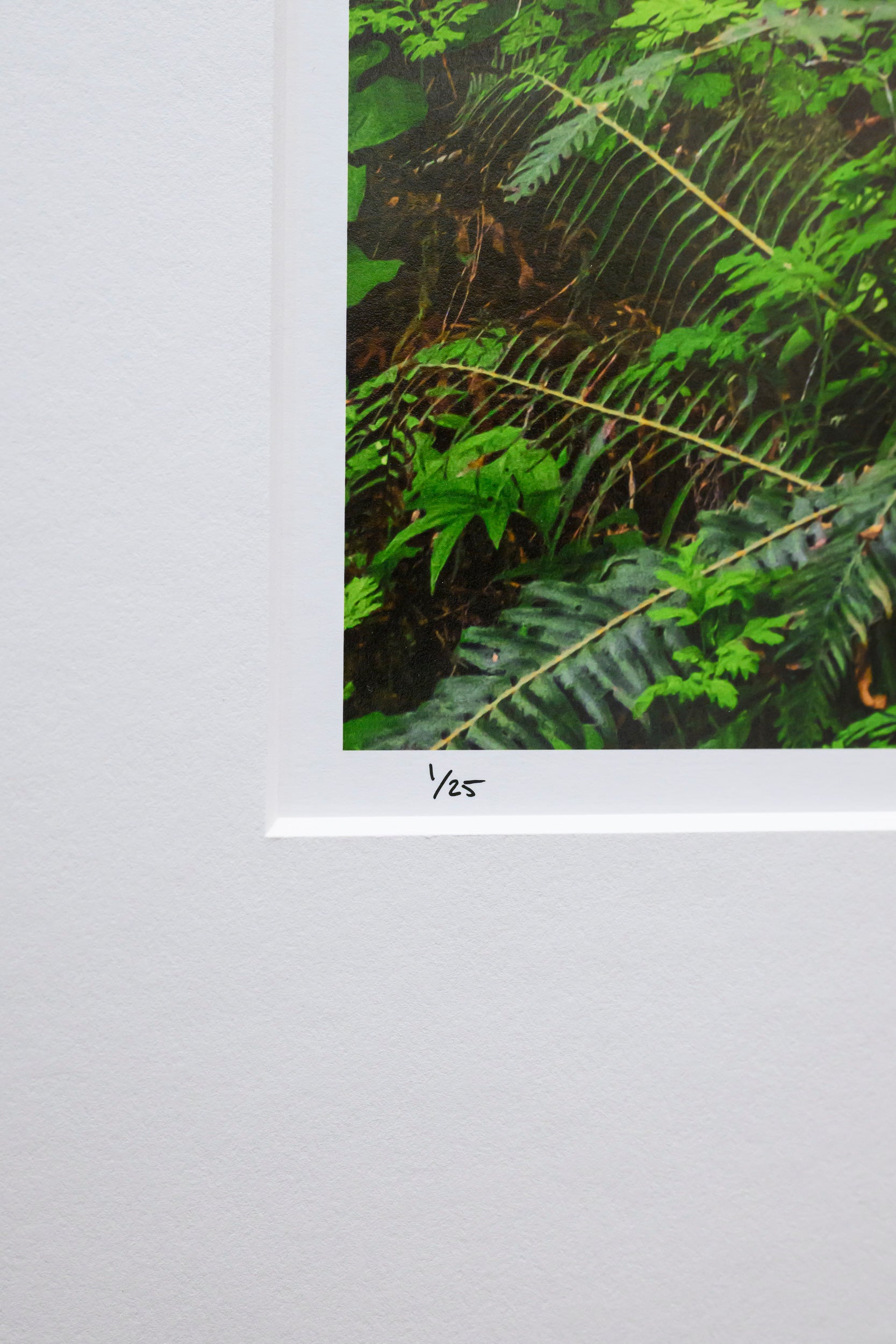 Proliferation - Mine Creek: 32x48 Limited Edition Framed Print