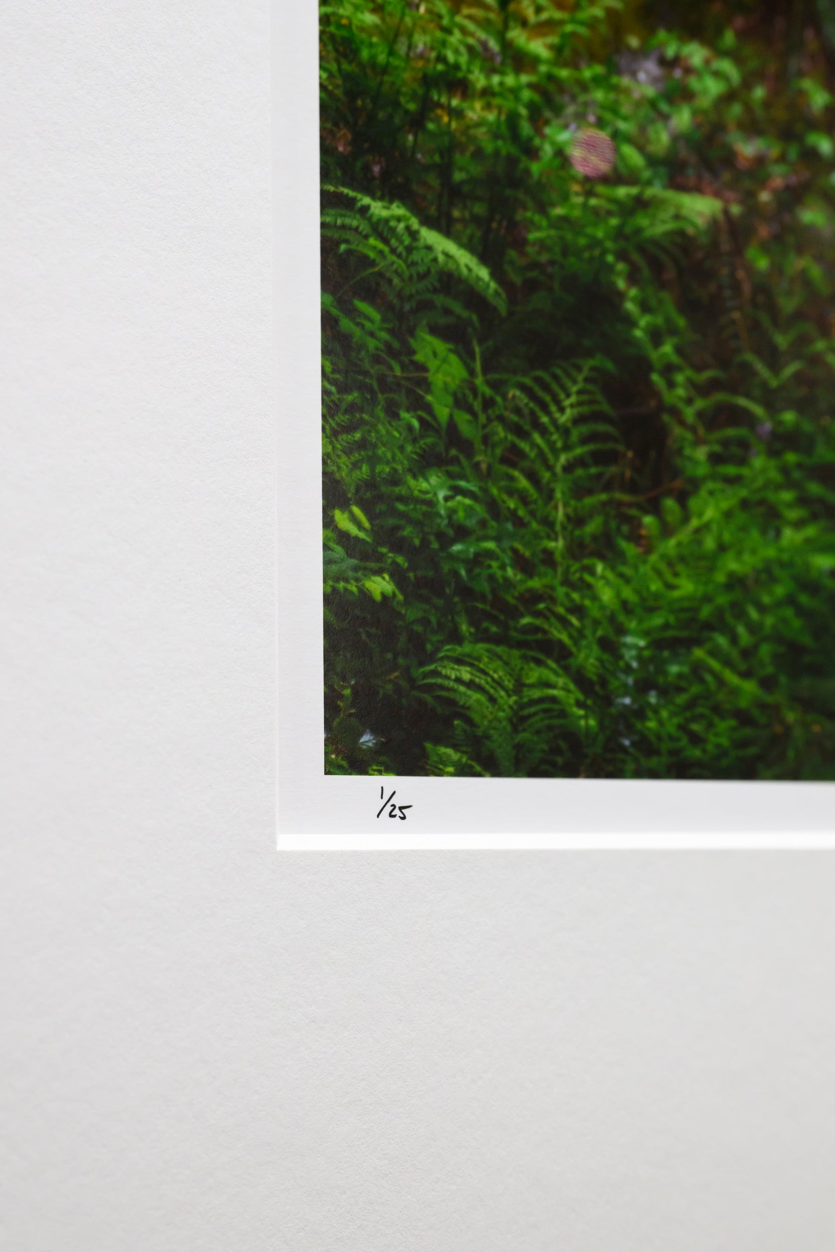 Verdant - Dingford Creek: 24x36 Limited Edition Framed Print