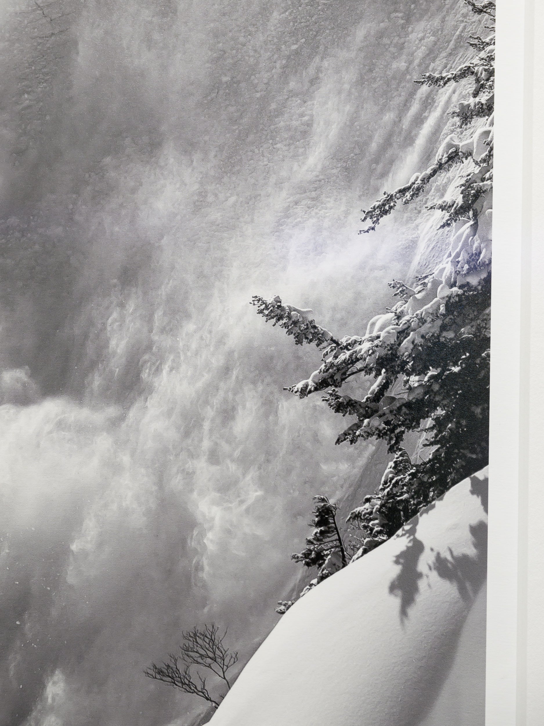 Deep Powder on Goryu Spine: Limited Edition Print