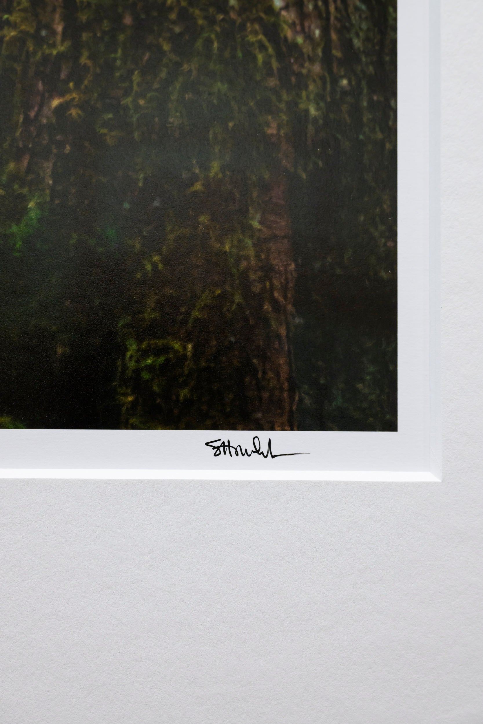 Embrace - Weeks Falls: 24x36 Limited Edition Framed Print
