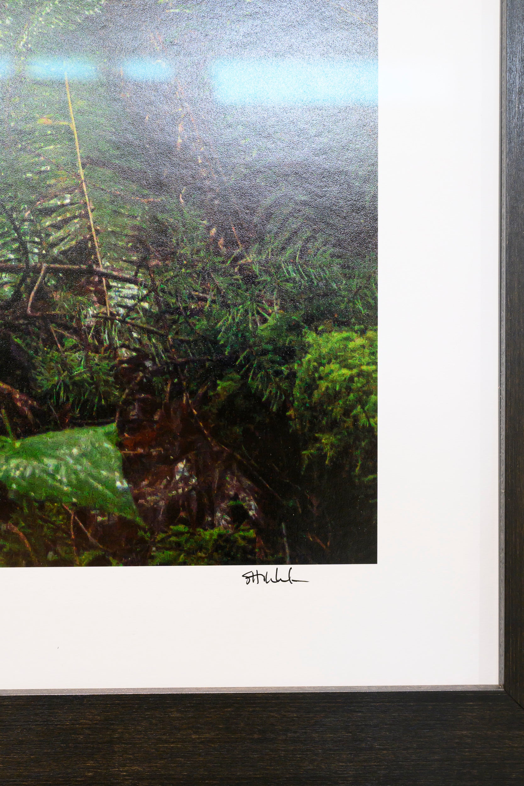 Reaching - Mount Si: 30x56 Limited Edition Framed Print
