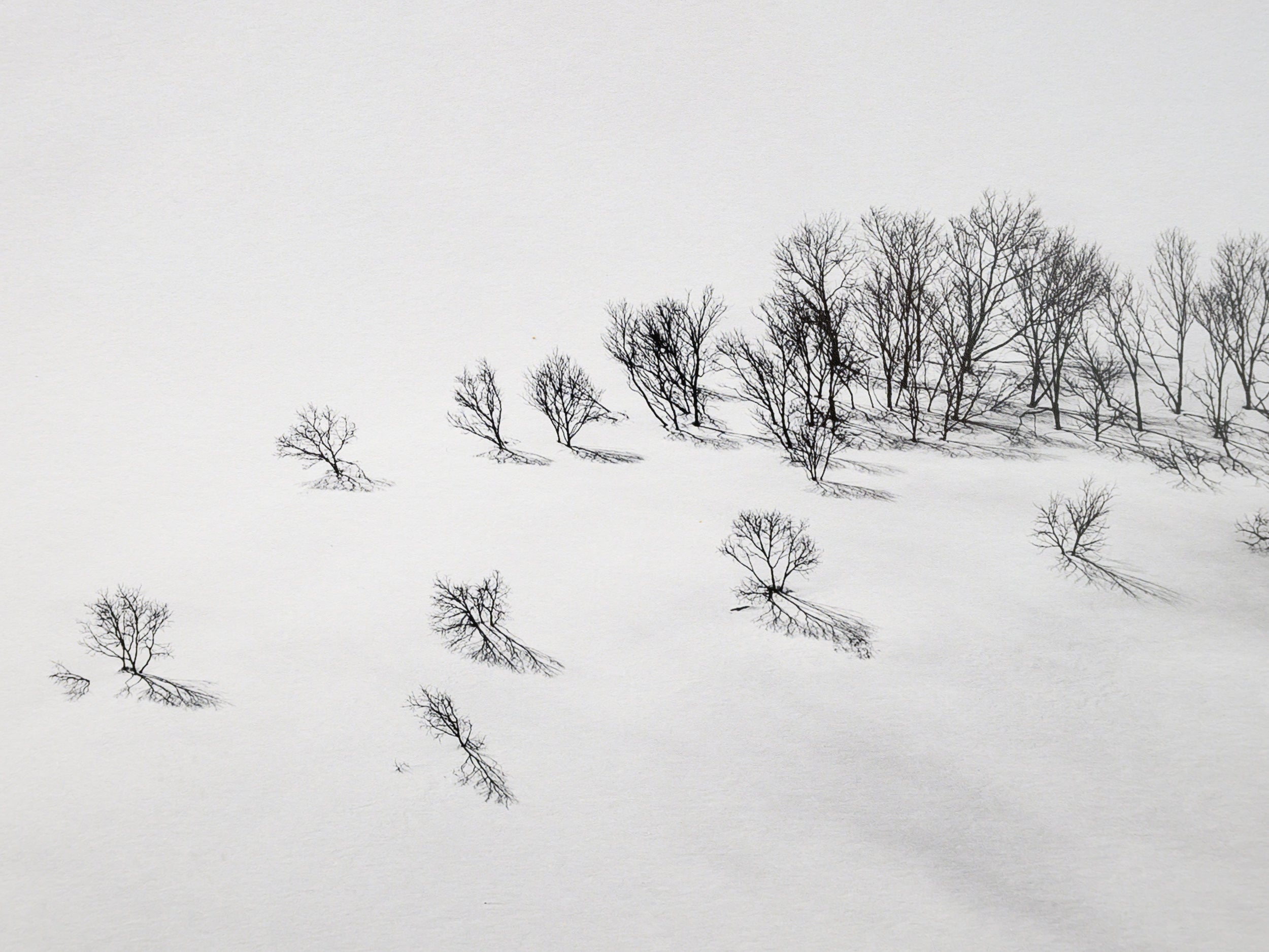 Single Track on Norikura: 24x36 Limited Edition Framed Print
