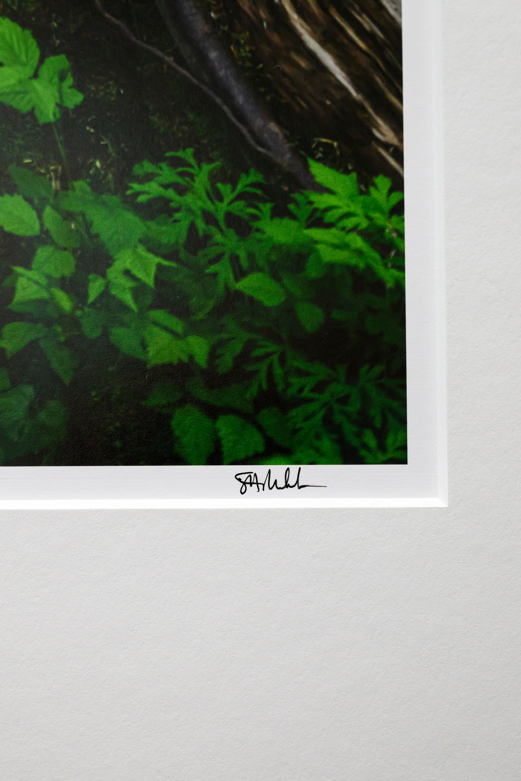 Synthesis - Oxbow Loop: 24x36 Limited Edition Framed Print