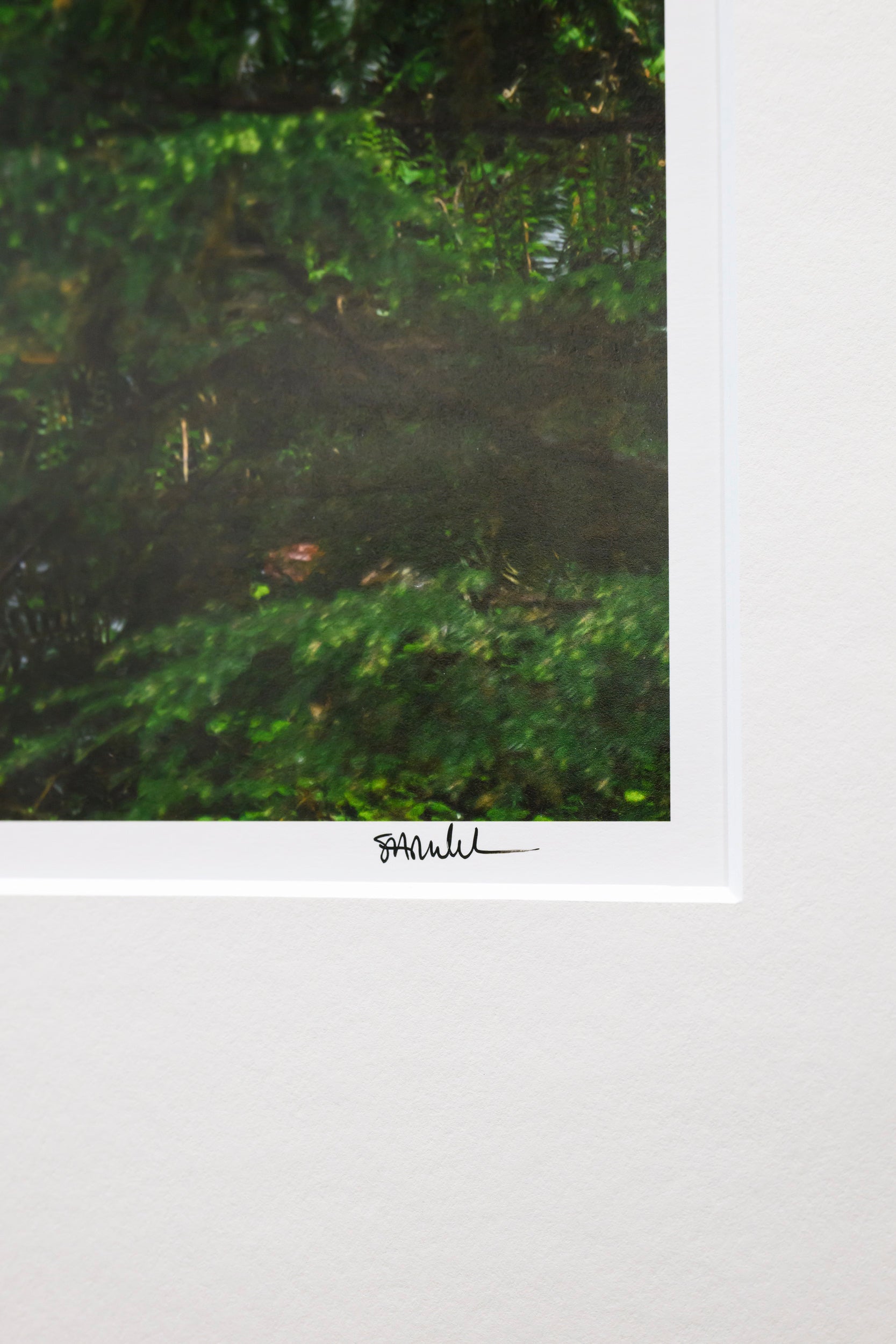 Verdant - Dingford Creek: 24x36 Limited Edition Framed Print