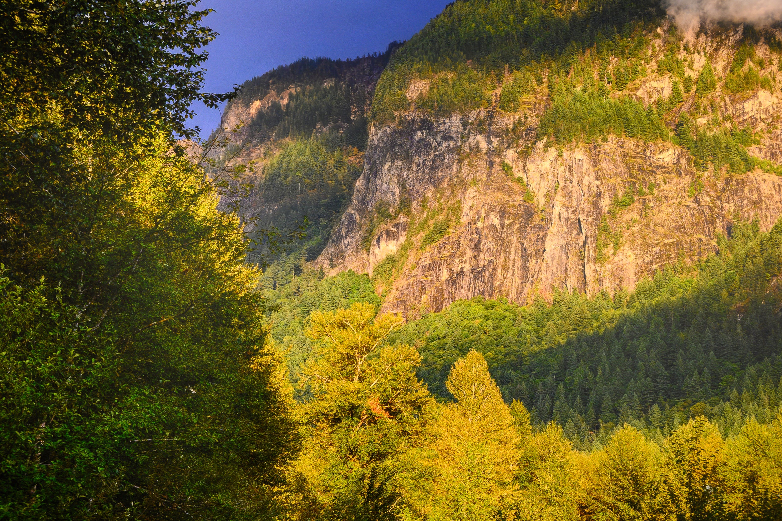 Reflected Golden Sunset on Mount Si in North Fork River Triptych: 30x56 Limited Edition Framed Prints