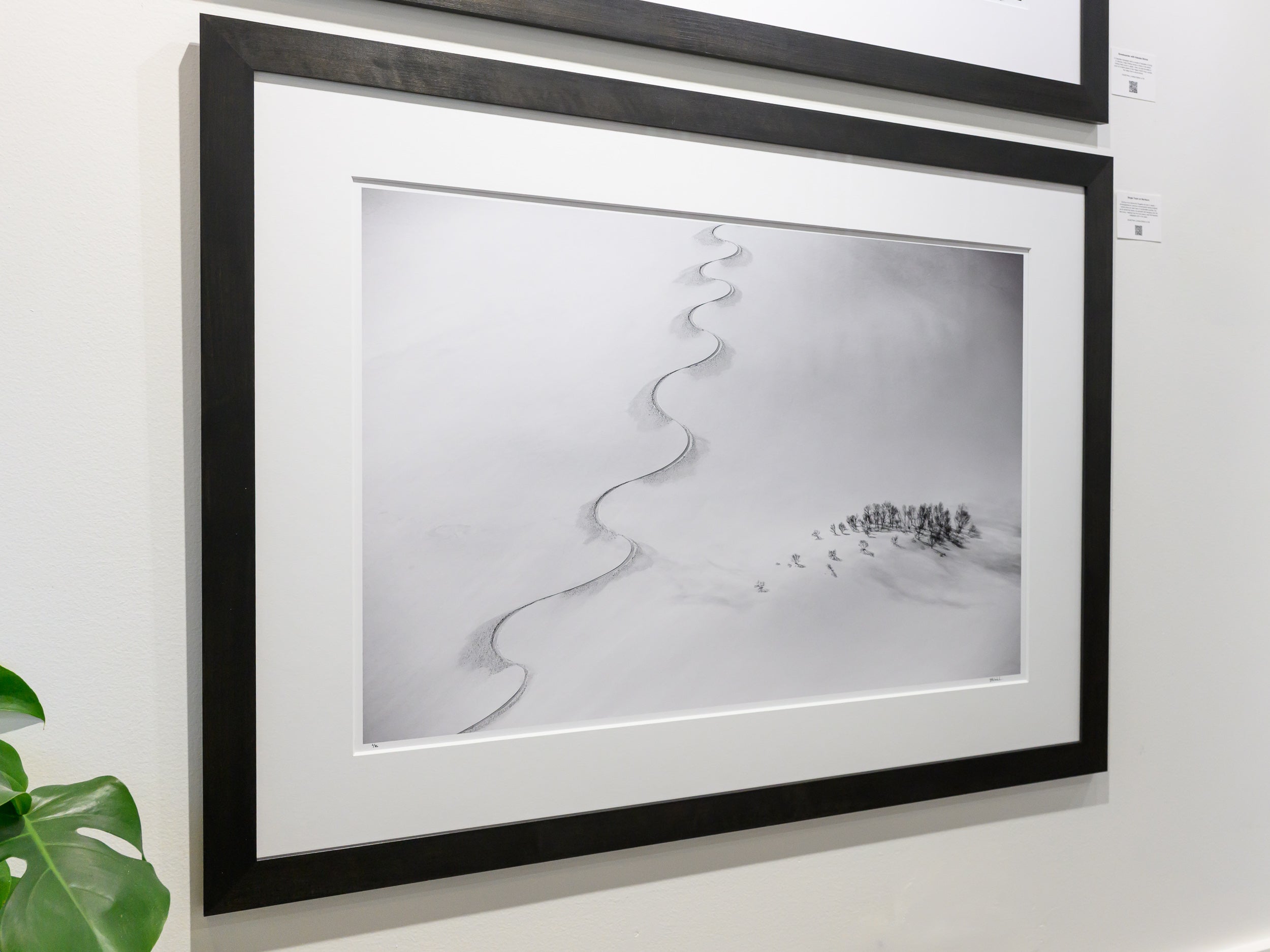 Single Track on Norikura: 24x36 Limited Edition Framed Print