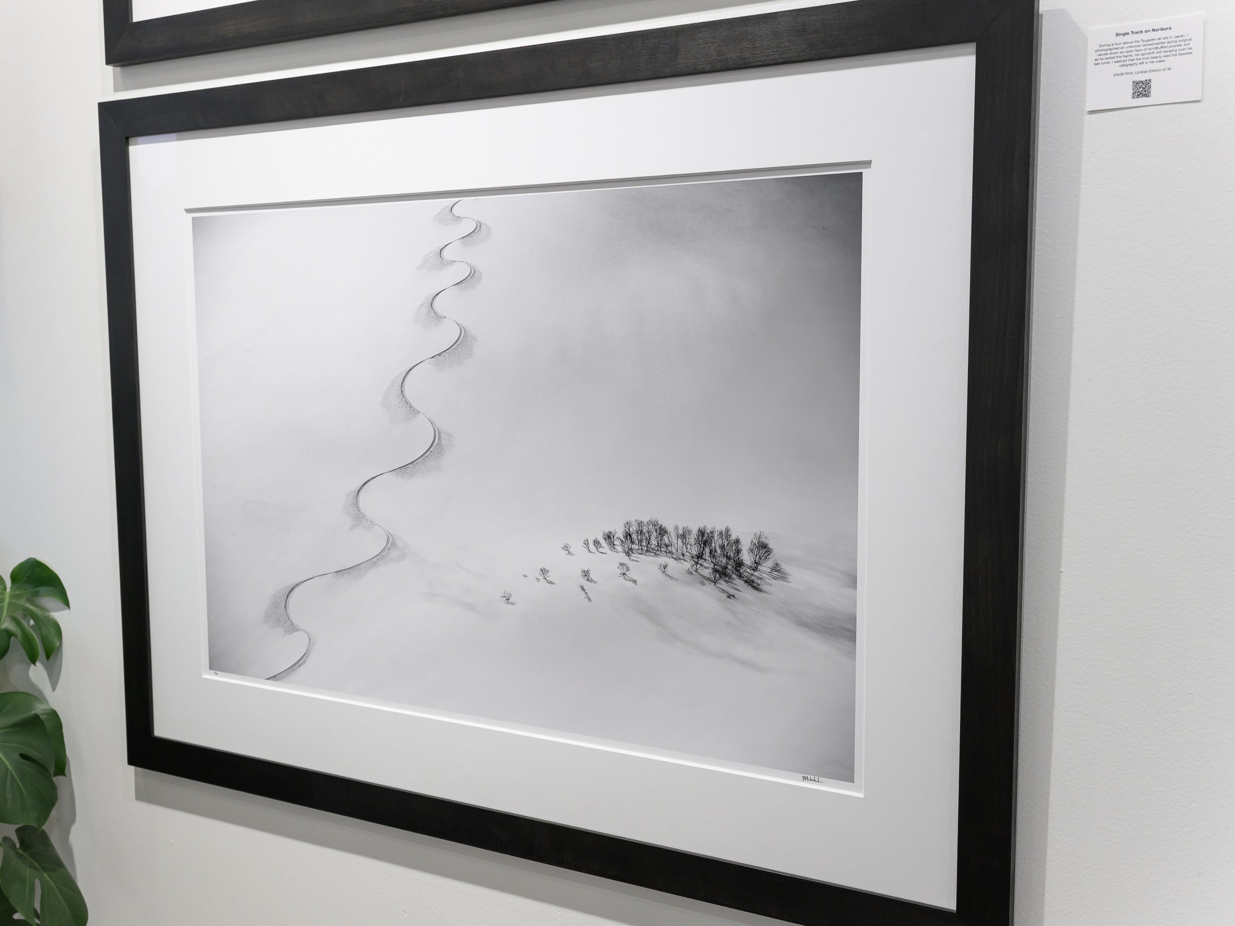 Single Track on Norikura: 24x36 Limited Edition Framed Print
