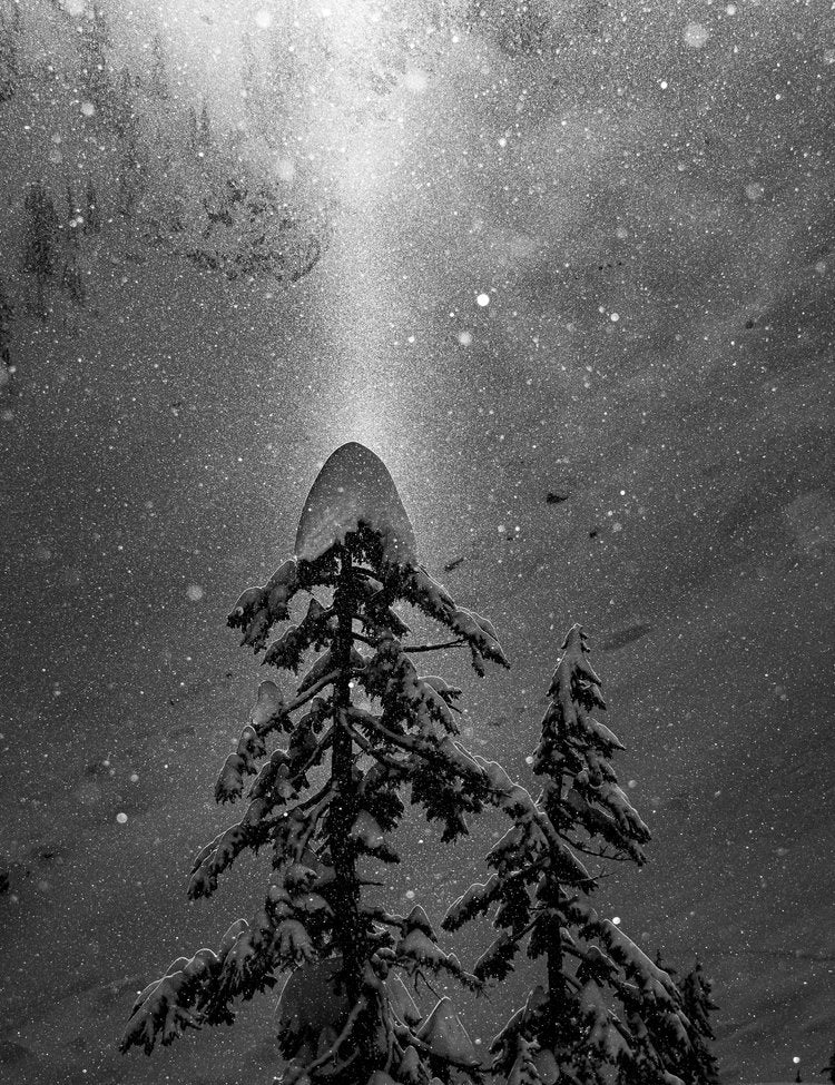 Beam of Sunlight on Bryant Peak: Matted 8x10 Print