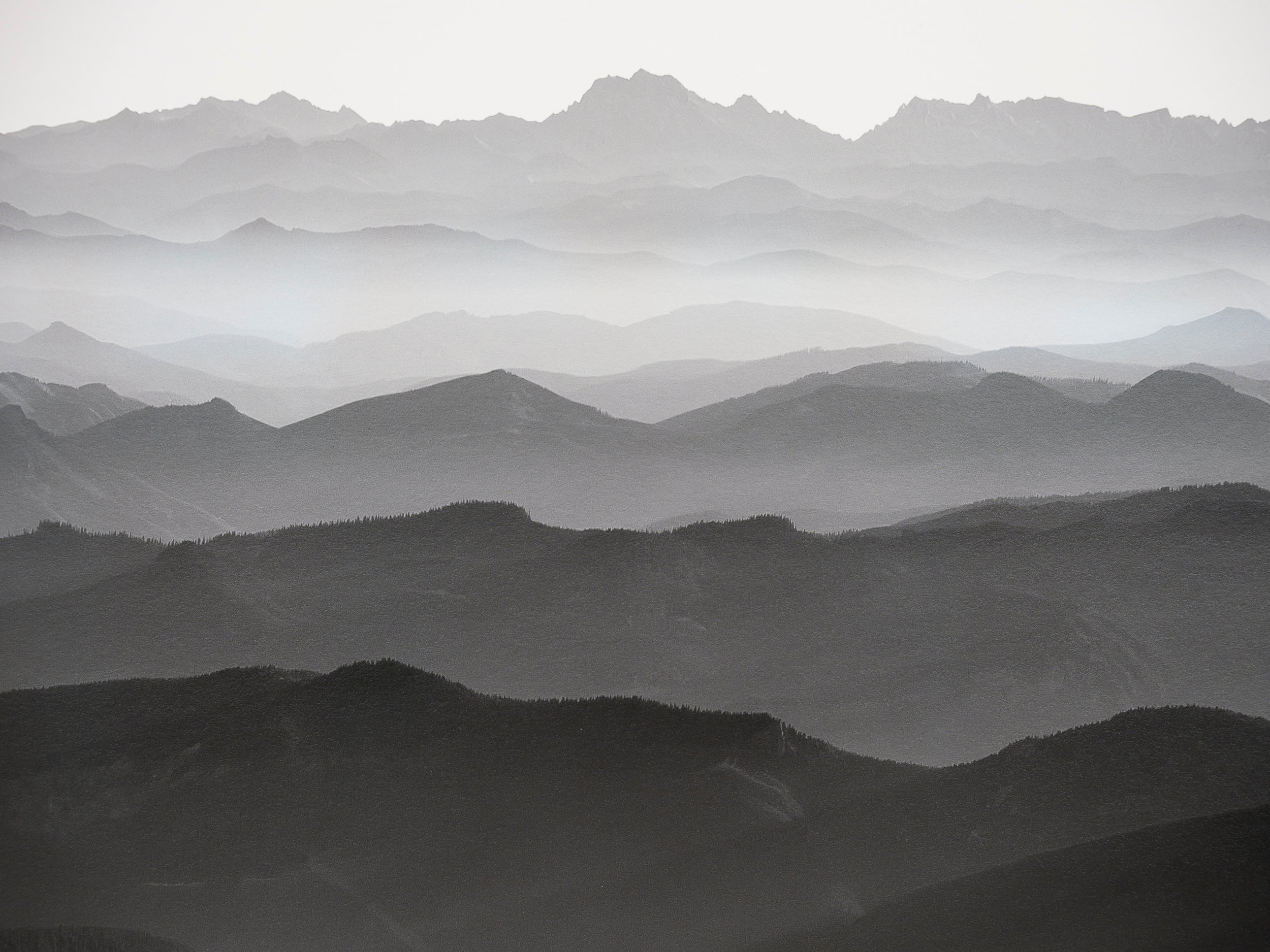 Grand Park and the North Cascades from Ptarmigan Ridge: 15x20 Limited Print