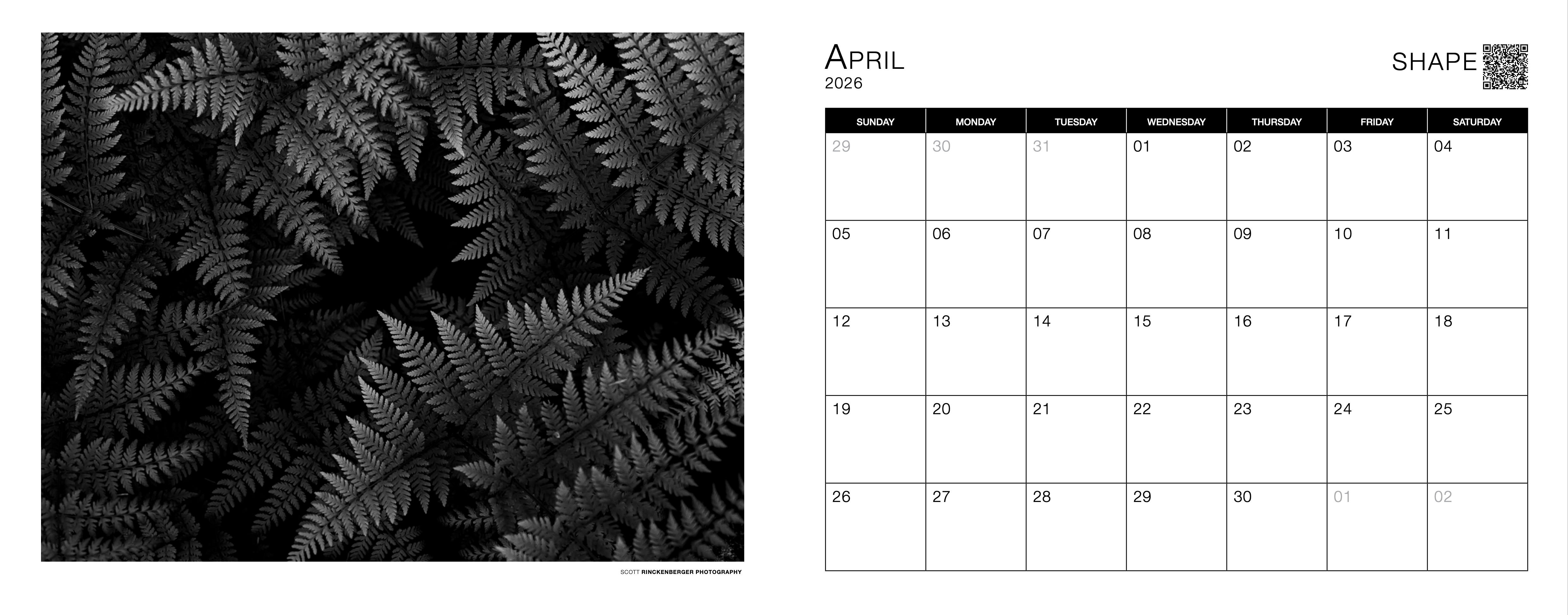 PRE-ORDER: Elemental 2026 Calendar