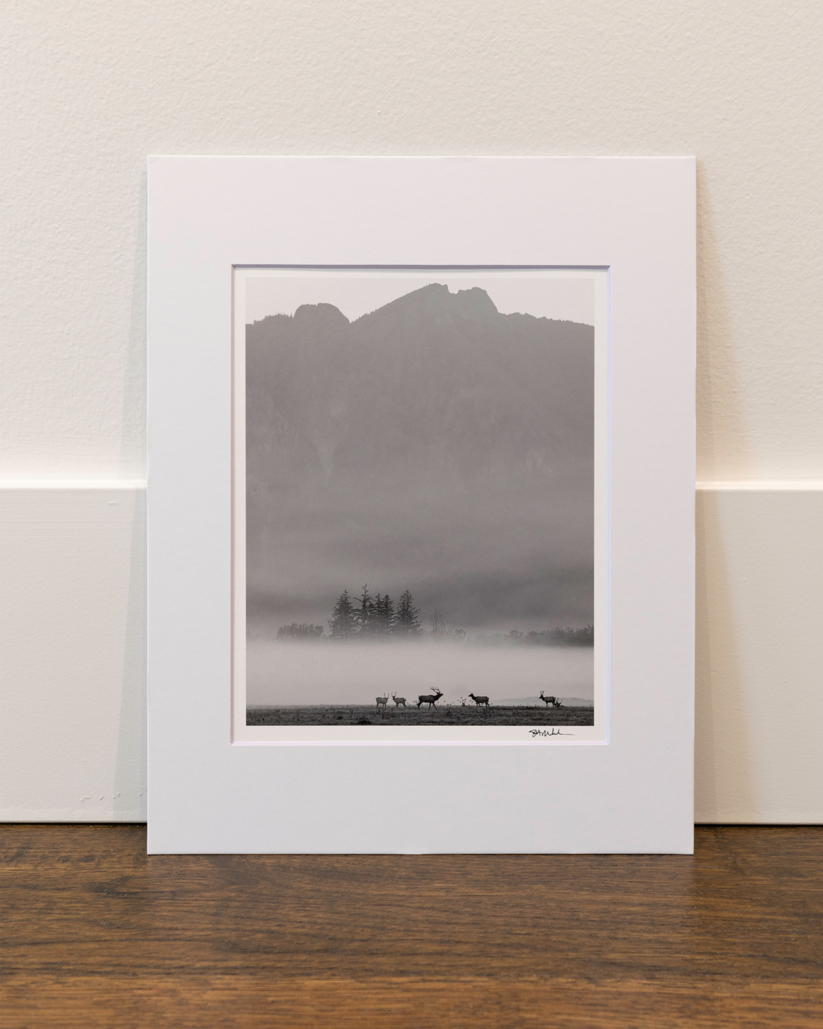 Elk in Autumn Fog below Mount Si: 11x14 Open Edition Matted Print