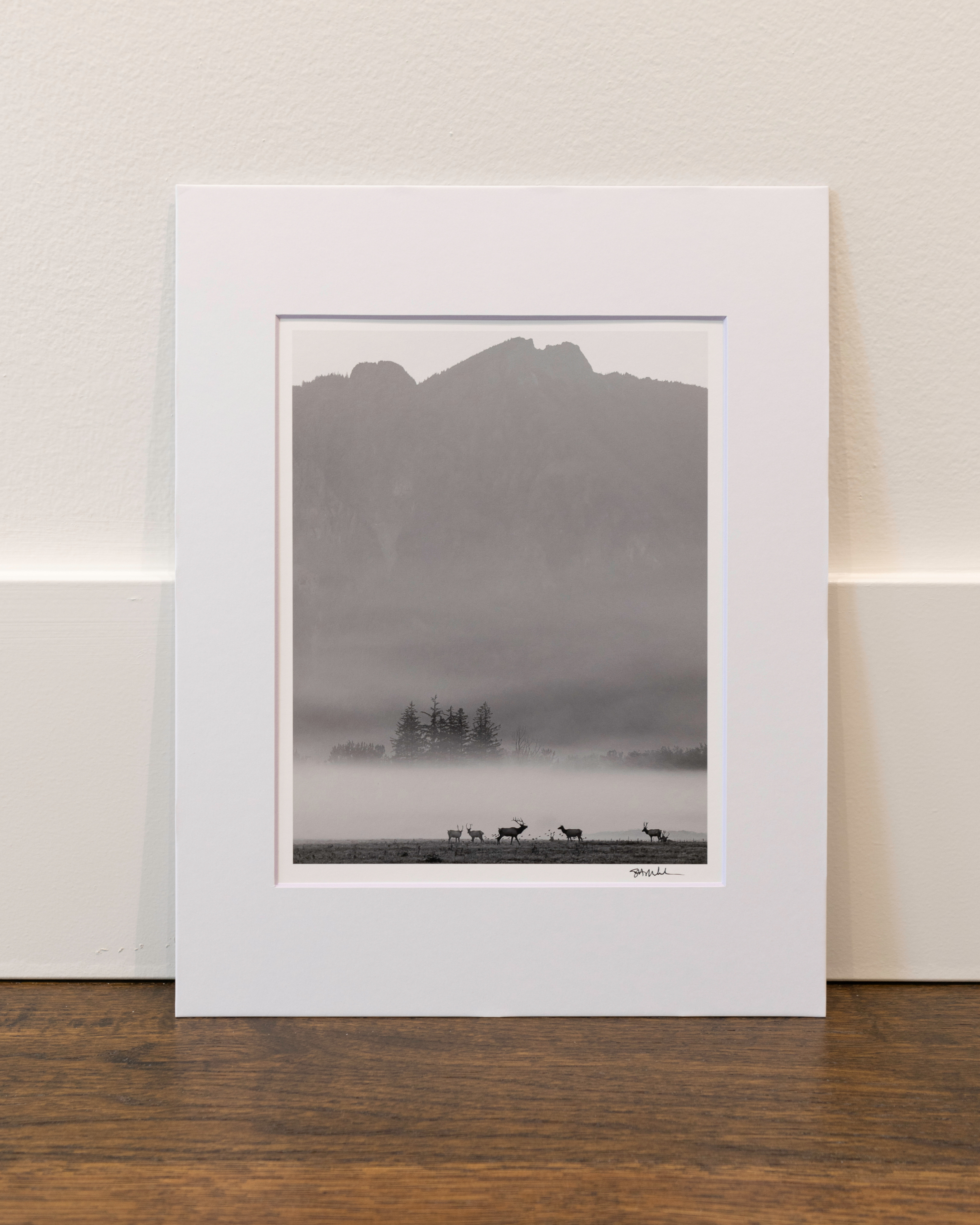 Elk in Autumn Fog below Mount Si: 8x10 Open Edition Matted Print