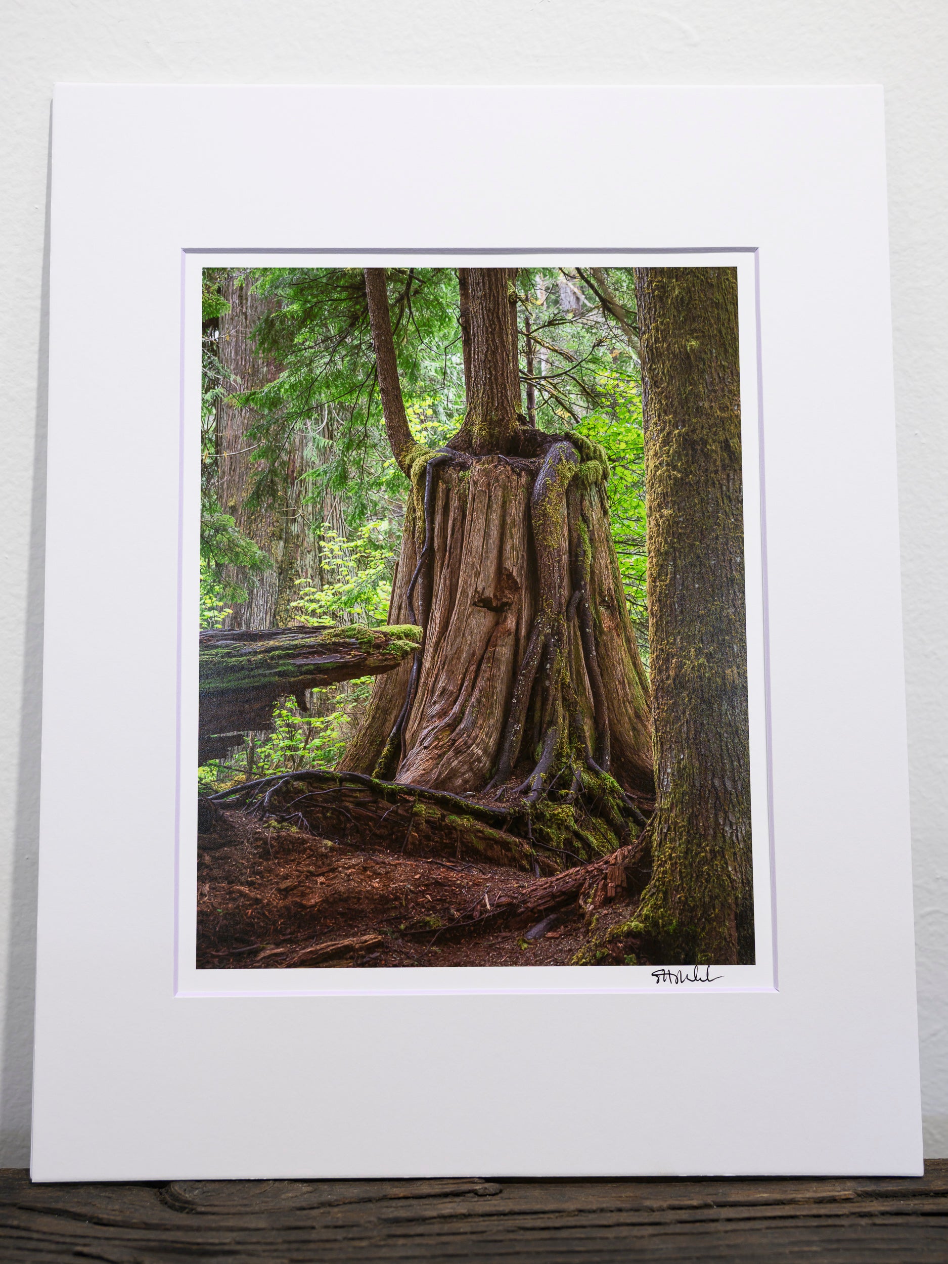 Embrace - Weeks Falls: 8x10 Open Edition Matted Print