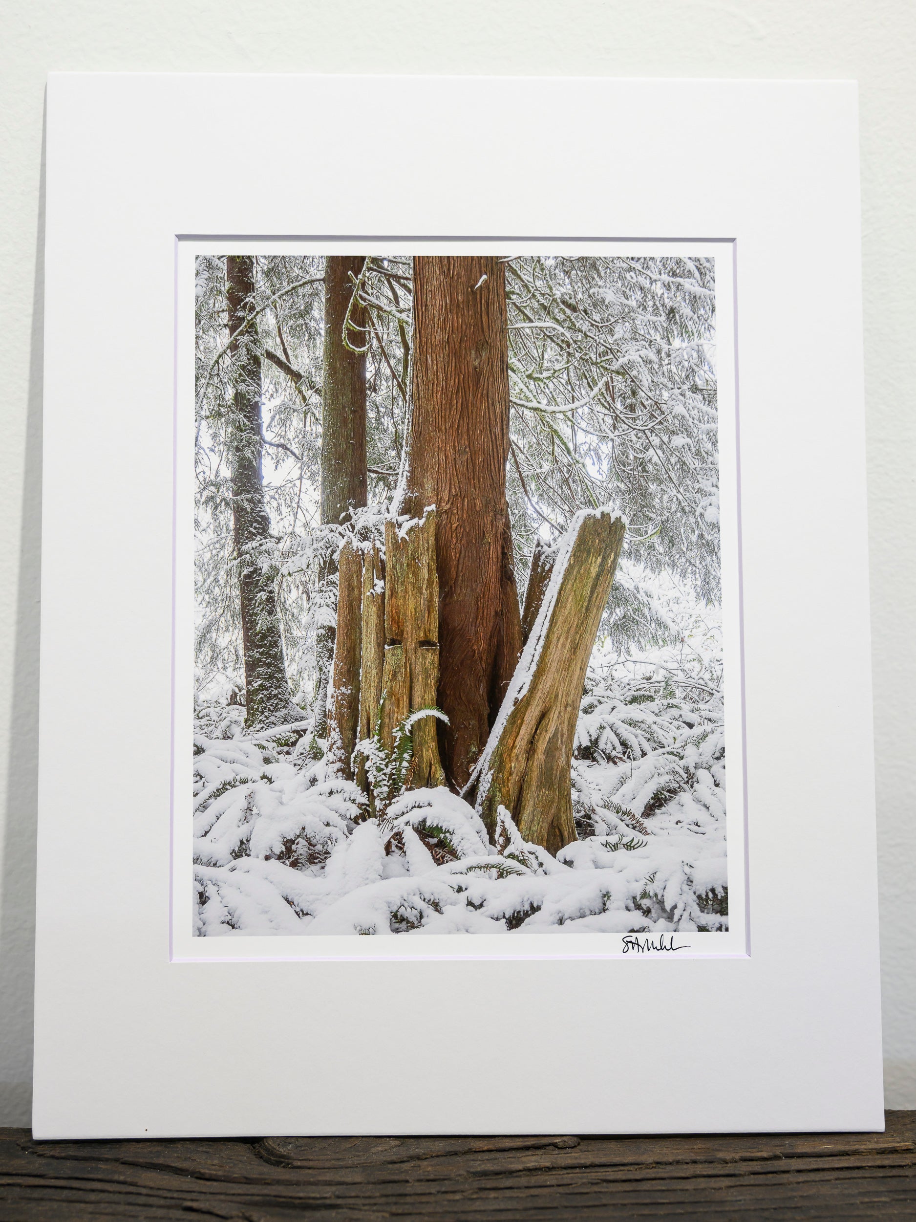 Emergence - Fall City: 8x10 Open Edition Matted Print
