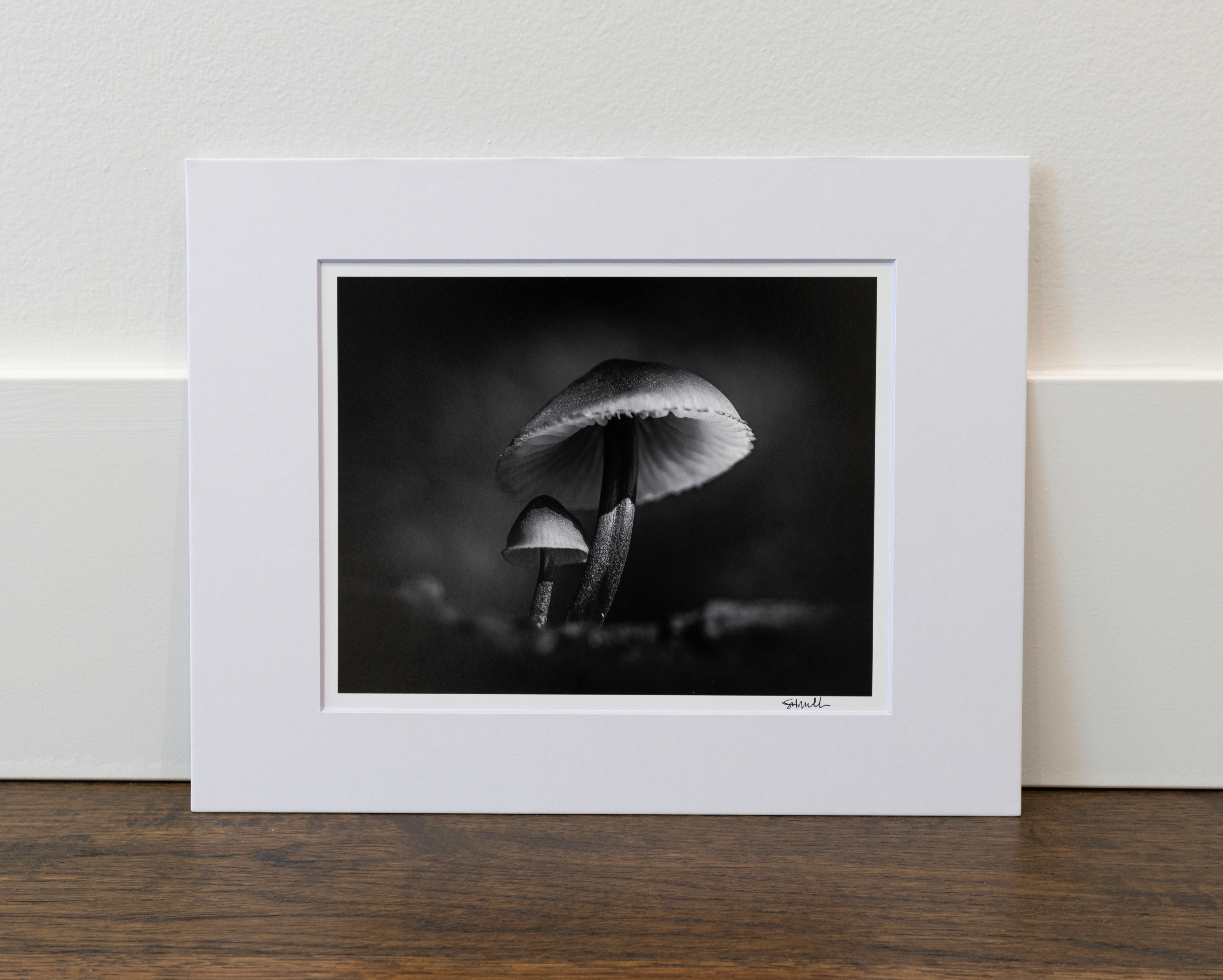 Mycena haematopus in Middle Fork Valley: 8x10 Open Edition Matted Print
