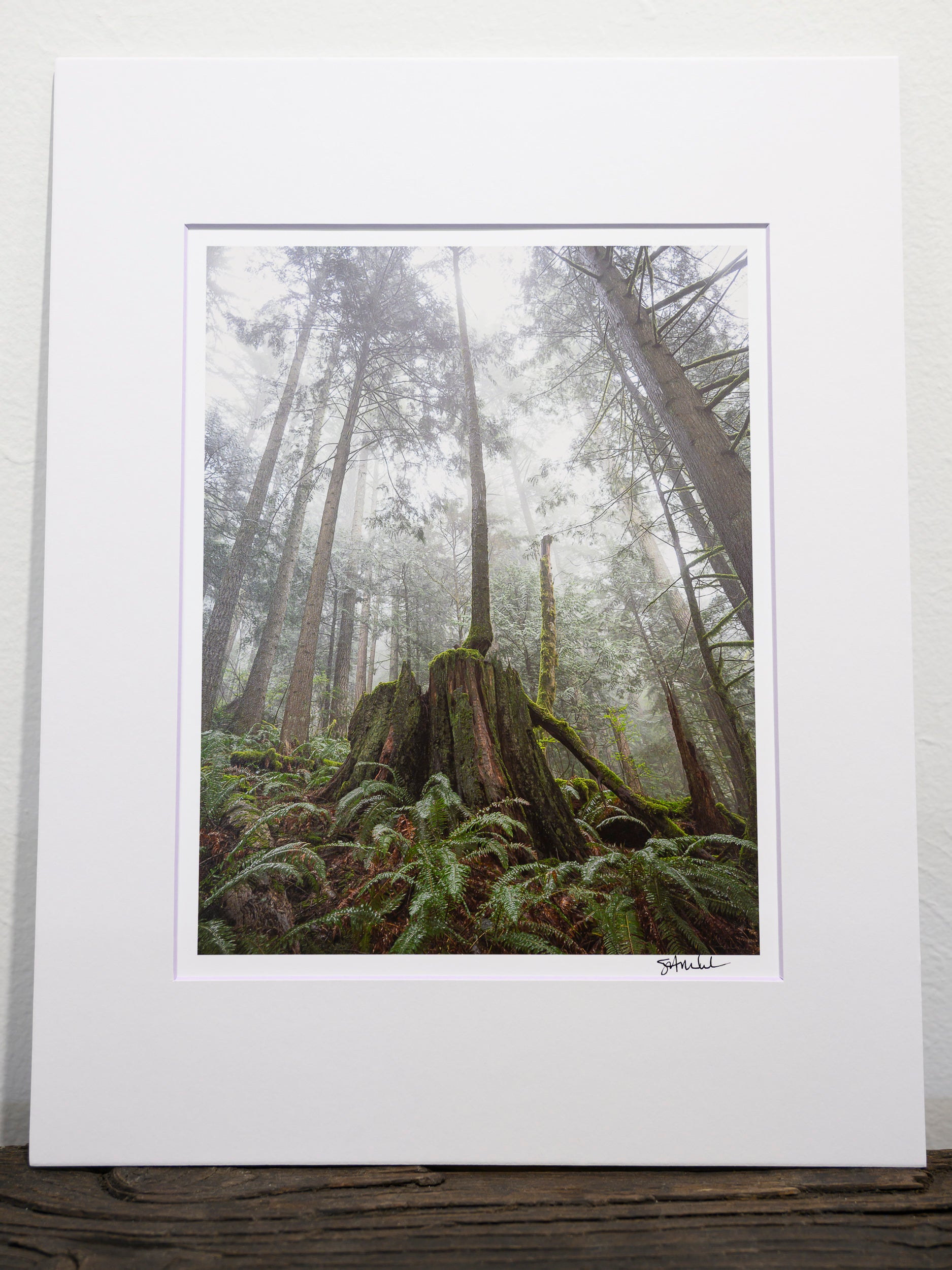 Reaching - Mount Si: 8x10 Open Edition Matted Print