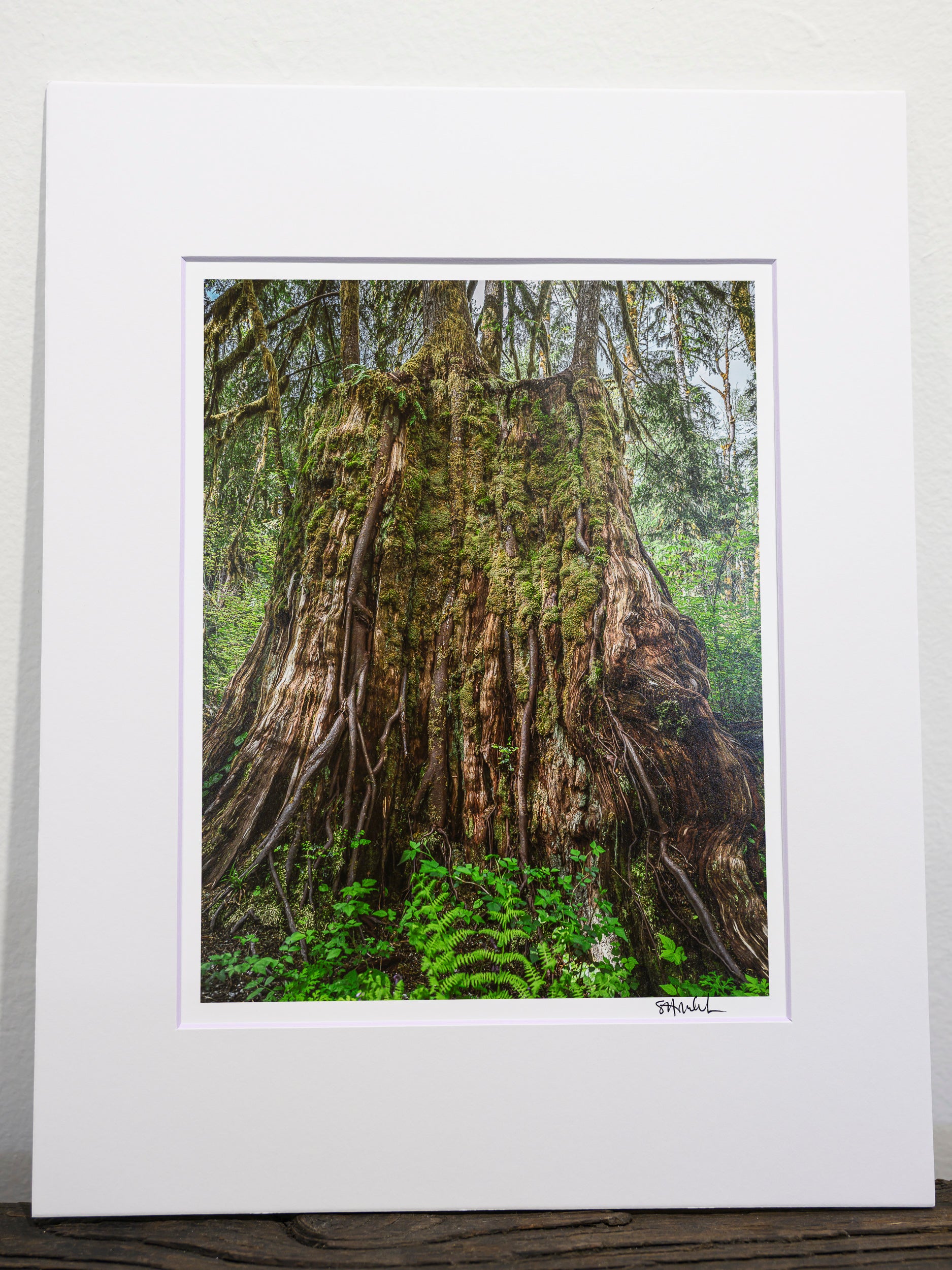 Synthesis - Oxbow Loop: 8x10 Open Edition Matted Print